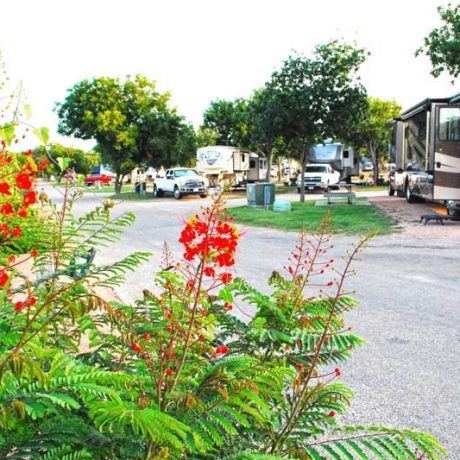 rv sites